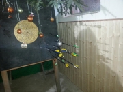 Christbaumkugel schießen 2014 (27)