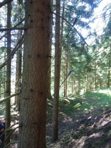 Pfingsausflug 2014 (92)